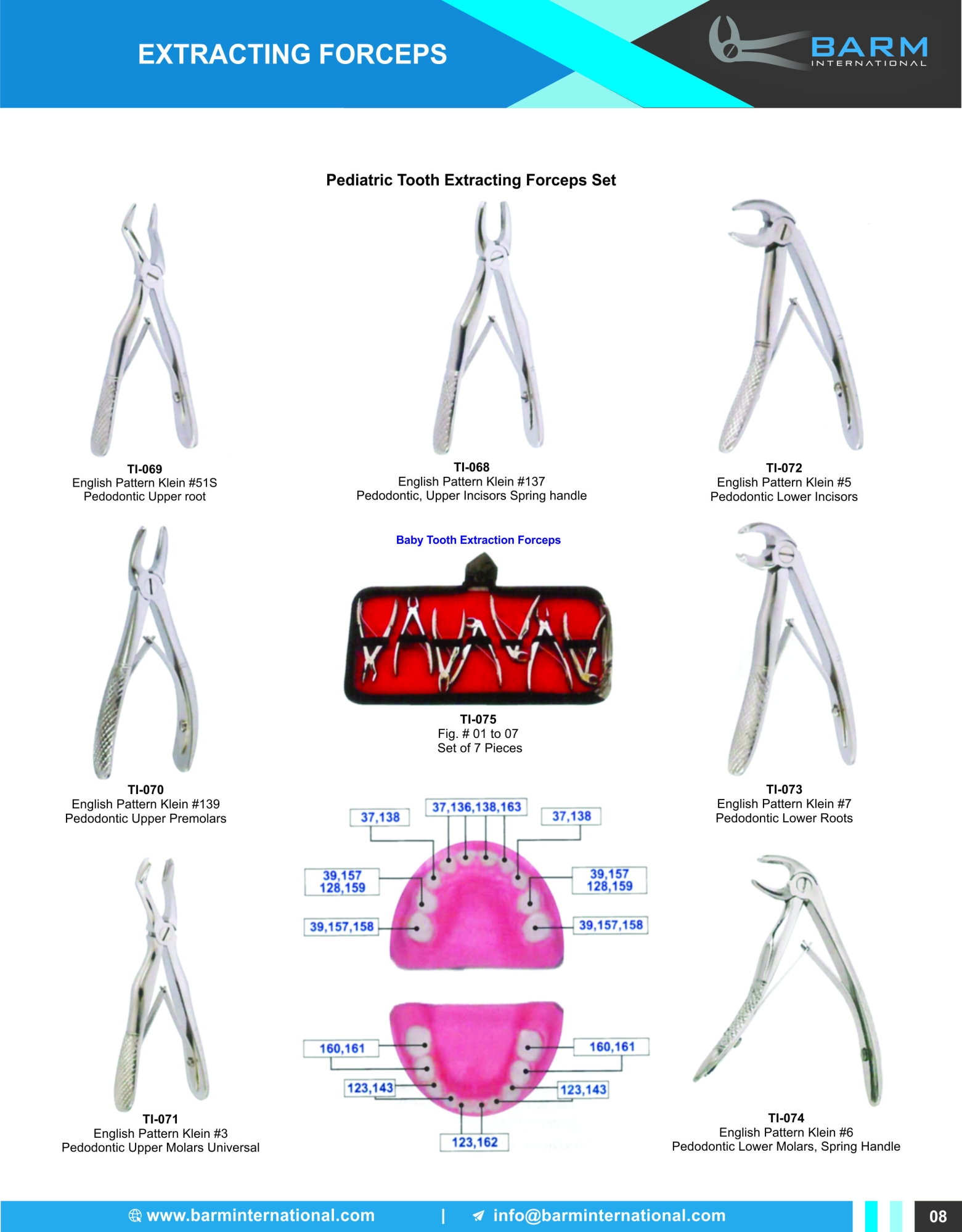 Extracting Forceps (English Pattern)